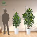 VIVATREES Dracaena Tree 5FT Artificial, 60in Tall Faux Dracaena Tree with 15.7 White Planter, Fake Potted Tree for Indoor & Outdoor Home Office Decor