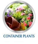 Alaska Fish Fertilizer OMRI Listed 5-1-1, 115 oz