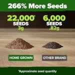 HOME GROWN Purple Creeping Thyme Seeds – Non-GMO Ground Cover Flowers – 22000+ Edible Herb Seeds for Planting Lawns & Paths – 3g Perennial Thymus serpyllum