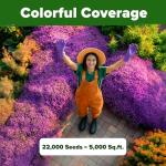 HOME GROWN Purple Creeping Thyme Seeds – Non-GMO Ground Cover Flowers – 22000+ Edible Herb Seeds for Planting Lawns & Paths – 3g Perennial Thymus serpyllum