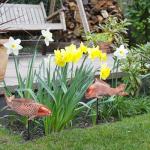 Wosuine Garden Statues Koi Fish Decor Outdoor Garden Fish Statues, Set of 2 Antique Copper Koi Art Sculptures for Patio, Backyard, Pond and Home Decor, Best Gardening Gifts for Women Mom