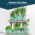 Lifemaster Planter Pots with Drainage Holes - Lightweight, Durable, and Space-Saving Pots for Indoor and Outdoor - Versatile Functionality, Simple Modern Design, Set of 10 Plastic Planter Pots - Aqua