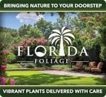 Bottlebrush Tree | 1 Live Gallon Size Plant | Callistemon Citrinus Red Cluster | Drought Tolerant Bird Attracting Shrub Tree