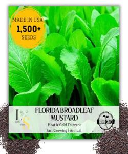 1500+ Premium Florida Broadleaf Mustard Seeds for Planting – Fast Growing, Heat and Cold Tolerant – High-Yielding, Non-GMO Heirloom Seeds