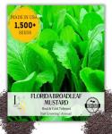 1500+ Premium Florida Broadleaf Mustard Seeds for Planting – Fast Growing, Heat and Cold Tolerant – High-Yielding, Non-GMO Heirloom Seeds