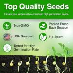 1500+ Premium Florida Broadleaf Mustard Seeds for Planting – Fast Growing, Heat and Cold Tolerant – High-Yielding, Non-GMO Heirloom Seeds