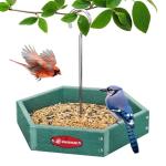 Kingsyard Heavy Duty Hanging Platform Bird Feeder Weatherproof, Recycled Plastic Tray with Metal Mesh Screen, Easy Clean Outdoor Feeder for Cardinals Bluebirds Wild Birds, Green