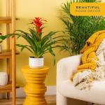 Costa Farms Bromeliad Live Plant in Decorative Pot, Flowering Indoor Houseplant, Perfect for Home, Room, or Office Decor, Great House Warming or Birthday Gift, 16-20 Inches Tall