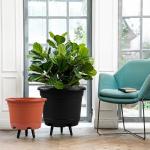 KPUVX 5 Pack 10.5 inch Plant Pots,Planter-Pots-for-Plants，Plastic Flower Pot for Indoor Outdoor Plants with Drainage Holes & Trays, Decorative Garden Containers Sets for Houseplants