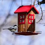 Kingsyard Cute Bird House Feeders for Outside, Hanging Metal Bird Feeder with 4 Ports, Outdoor Garden Yard Decorations for Cardinals Finches Chickadees Goldfinches & Sparrows Birds Watching