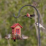 Kingsyard Cute Bird House Feeders for Outside, Hanging Metal Bird Feeder with 4 Ports, Outdoor Garden Yard Decorations for Cardinals Finches Chickadees Goldfinches & Sparrows Birds Watching