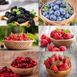 Mixrug 1500pcs Mixed Berry Seeds Kit for Planting (Strawberriy, Blueberry, Raspberry, Mulberry, Cranberry, Cherry Seeds Pack), Non-GMO Perennial Fruits Seeds, Home Garden Plants for Outdoors