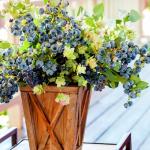 Mixrug 1500pcs Mixed Berry Seeds Kit for Planting (Strawberriy, Blueberry, Raspberry, Mulberry, Cranberry, Cherry Seeds Pack), Non-GMO Perennial Fruits Seeds, Home Garden Plants for Outdoors