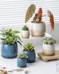 Ceramic Plant Pots with Drainage Holes and Saucers, Indoor Flower Pots for Plants Set of 3, 3.4+4.7+6.1 inch Cute Garden Pots Set for Succulent and Money Tree, Gift for Housewarmings, Blue