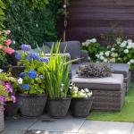 Nooulap 4 Pack 8 Inch Flower Pots for Outdoor Indoor, Plastic Plant Pots with Drainage Hole & Saucer, Lightweight Small Resin Flower Pot, Imitation Magnolia Pots for Garden House planters（Gray）