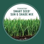 Pennington Smart Seed Sun and Shade Grass Mix 20 lb, Black Label