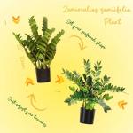 Geniff Artificial Plants Indoor ZZ Plant Fake Plant 34" Potted Plastic Plants for Home Office Desk Farmhouse Room Bathroom Decor