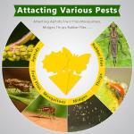 Landisun Fruit Fly Traps 48PCS Fungus Gnat-Traps for Indoor-Outdoor Yellow Fruit-Fly Sticky-Trap Plants Flying Bug Insects Traps