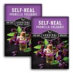 Self-Heal Seeds for Planting - Prunella Vulgaris (All-Heal, Selfheal) Hardy Perennial Ground Cover & Pollinator Wildflower, Non-GMO Heirloom Herb - Survival Garden Seeds (2 Packs)