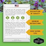 Self-Heal Seeds for Planting - Prunella Vulgaris (All-Heal, Selfheal) Hardy Perennial Ground Cover & Pollinator Wildflower, Non-GMO Heirloom Herb - Survival Garden Seeds (2 Packs)