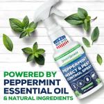 All Natural Peppermint Oil Insect & Pest Control Spray Repels Mice, Spiders, Ants, for Home, Indoor, Outdoor, Garden Maximum Strength Smart Grower Ready to Use 32 FL OZ
