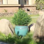 Artificial Topiary Ball Tree 19''T Faux Little Bush Ball Tree UV Resistant Shrub Potted Artificial Plant for Outdoor Indoor Front Porch Garden