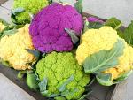 This is A Mix 50 Cauliflower Mix Seeds Heirloom Non-GMO 4 Varieties Purple Green Yellow Delicious, Brassica oleracea, from USA