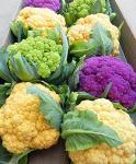 This is A Mix 50 Cauliflower Mix Seeds Heirloom Non-GMO 4 Varieties Purple Green Yellow Delicious, Brassica oleracea, from USA