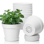 T4U 5 Inch Plant Pot 8-Pack, Plastic Pots with Drainage Hole and Saucer, Decorative Flower Pots Bulk for African Violet, Snake Plant, Succulent and All House Plants Indoor (8pcs 5" Pots, White)