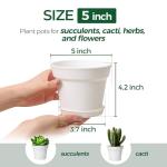 T4U 5 Inch Plant Pot 8-Pack, Plastic Pots with Drainage Hole and Saucer, Decorative Flower Pots Bulk for African Violet, Snake Plant, Succulent and All House Plants Indoor (8pcs 5" Pots, White)