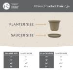 The HC Companies Prima Round Plastic Plant Pot w/Rolled Rim - Lightweight & UV Resistant Flower Pot for Herbs & More - Outdoor & Indoor Plant Pots w/Drainage (20 inch, Sandstone, Pack of 1)