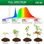 SANSI Grow Lights for Indoor Plants, Pot Clip LED Plant Lights for Indoor Growing, Full Spectrum, Plant Lamp with 4-Level Dimmable, Auto On Off 3 6 12 Hrs Timer for Succulents, Small Plant, White, 5V.