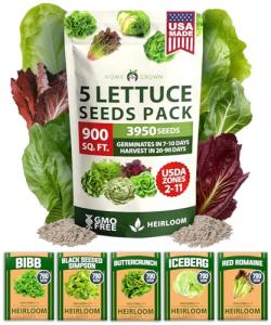 HOME GROWN 5 Lettuce Seed Pack – 3950 Heirloom Vegetable Seeds for Indoor, Outdoor, or Hydroponic Growing – Black Seeded Simpson, Red Romaine, Bibb, Buttercrunch, Iceberg Varieties (Lactuca Sativa)