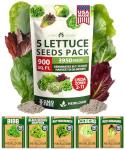 HOME GROWN 5 Lettuce Seed Pack – 3950 Heirloom Vegetable Seeds for Indoor, Outdoor, or Hydroponic Growing – Black Seeded Simpson, Red Romaine, Bibb, Buttercrunch, Iceberg Varieties (Lactuca Sativa)