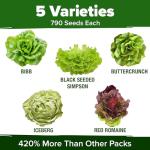 HOME GROWN 5 Lettuce Seed Pack – 3950 Heirloom Vegetable Seeds for Indoor, Outdoor, or Hydroponic Growing – Black Seeded Simpson, Red Romaine, Bibb, Buttercrunch, Iceberg Varieties (Lactuca Sativa)