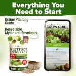 HOME GROWN 5 Lettuce Seed Pack – 3950 Heirloom Vegetable Seeds for Indoor, Outdoor, or Hydroponic Growing – Black Seeded Simpson, Red Romaine, Bibb, Buttercrunch, Iceberg Varieties (Lactuca Sativa)