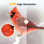 Camera Bird Feeder,Smart Bird Feeder with Camera,High-End Bamboo Birds Watching Cam,2K HD Came Solar Powered,AI Identify 16000+,Auto Capture Birds & Notify in Time, Ideal Gift for Backyard Birder