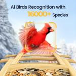 Camera Bird Feeder,Smart Bird Feeder with Camera,High-End Bamboo Birds Watching Cam,2K HD Came Solar Powered,AI Identify 16000+,Auto Capture Birds & Notify in Time, Ideal Gift for Backyard Birder