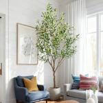 6ft Artificial Olive Tree Faux Olive Plant for Home Decor, Large Fake Olive Tree Modern Farmhouse Style, Floor Plant for Indoor Artificial Trees for Home Decor Indoor, Arbol de Olivo Artificial