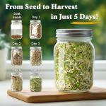 Seedboy Organic Non-GMO Sprouting Seeds, Fresh Salad Blend – USA Grown Microgreens Mix with Alfalfa, Broccoli, Radish, Mung Bean & Lentil – 8 oz Bag Makes 8 Quarts / 24 Servings (Salad Blend)