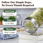Seedboy Organic Non-GMO Sprouting Seeds, Fresh Salad Blend – USA Grown Microgreens Mix with Alfalfa, Broccoli, Radish, Mung Bean & Lentil – 8 oz Bag Makes 8 Quarts / 24 Servings (Salad Blend)