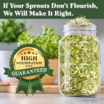 Seedboy Organic Non-GMO Sprouting Seeds, Fresh Salad Blend – USA Grown Microgreens Mix with Alfalfa, Broccoli, Radish, Mung Bean & Lentil – 8 oz Bag Makes 8 Quarts / 24 Servings (Salad Blend)