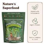 Seedboy Organic Non-GMO Sprouting Seeds, Fresh Salad Blend – USA Grown Microgreens Mix with Alfalfa, Broccoli, Radish, Mung Bean & Lentil – 8 oz Bag Makes 8 Quarts / 24 Servings (Salad Blend)