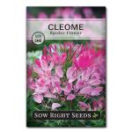 Sow Right Seeds - Spider Blend Cleome Seeds for Planting Outdoors - Non-GMO Heirloom Variety - Easy and Fast to Grow - Annual Flower for Vibrant Gardens - Ideal for Butterfly Attracting (1)