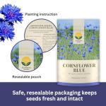 SunHaven Seeds Blue Cornflower Seeds - Bachelor Button (Centaurea Cyanus) - Extra Large 1 oz Packet with Over 5,500 Open Pollinated Wildflower Seeds for Full Sun Gardens
