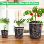 Bluepro 30 Packs 6.7/5/4 Inch Reinforced Clear Nursery Pots with Drainage Hole, Transparent Variety Pack Plastic Plant Pot Seedling Planter for Vegetable Propagation, Root Cutting, Seed Starting