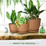 Utopia Home - Plastic Terracotta Pots with Drainage - 7/6.6/6/5.3/4.8 Inches Flower Pots for Indoor Planter - Pack of 5 Plastic Planters, Cactus, Succulents Pot