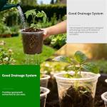 Plgardpo Clear Nursery Pots, 4/5/6 Inch Transparent Plastic Plant Pots with Drainage Holes, Variety Pack Seed Starting Pots, Flexible Clear Flower Pots for Indoor Outdoor Plants, 24 Packs