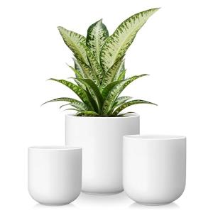 vancasso Ceramic Plant Pots, 4+5+6 inches, Set of 3, Planters with Drainage Hole, Flower Pots Planters Pots for Indoor Plants, Modern Indoor Decorative Garden Pot, Home Decor, White