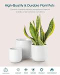 vancasso Ceramic Plant Pots, 4+5+6 inches, Set of 3, Planters with Drainage Hole, Flower Pots Planters Pots for Indoor Plants, Modern Indoor Decorative Garden Pot, Home Decor, White